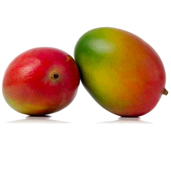 Kent.mangoes