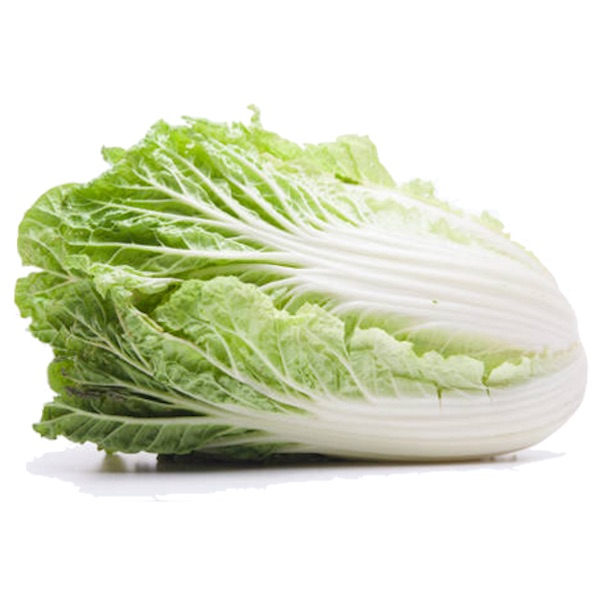 Napa.cabbage