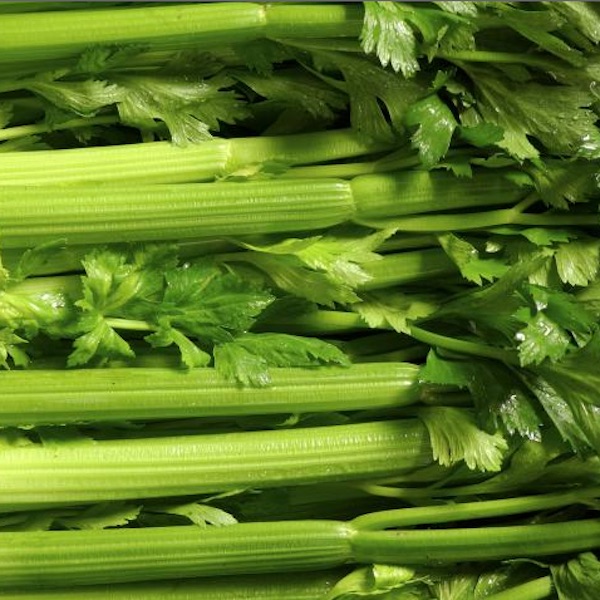 Celery.boxed