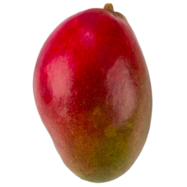Palmer.mango