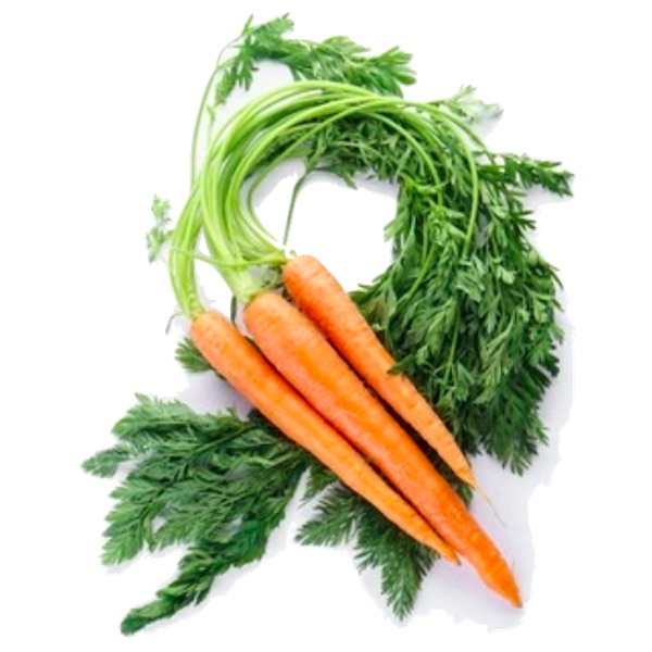 Carrots.new
