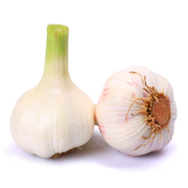 New Garlic